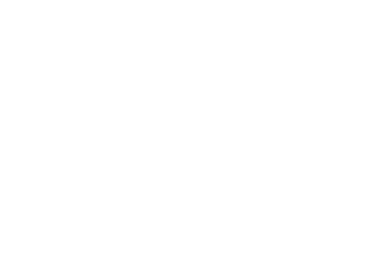 APL Logo