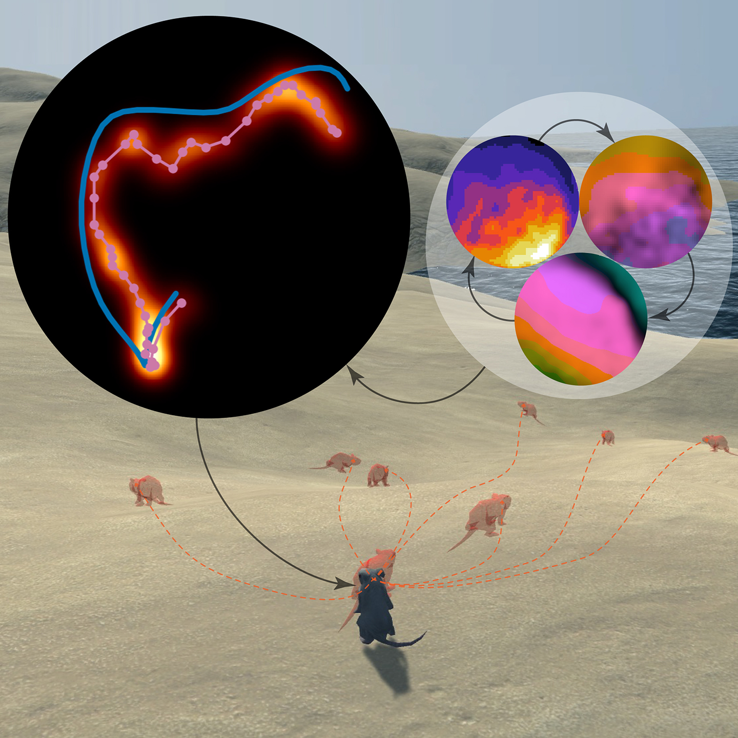 In this illustration, based on research into rat brain activity, measurements of brain activity can be translated into mapping instructions.