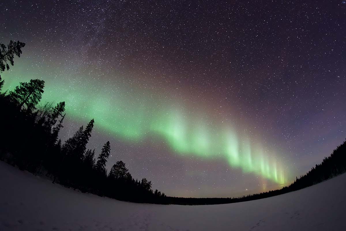 Auroras