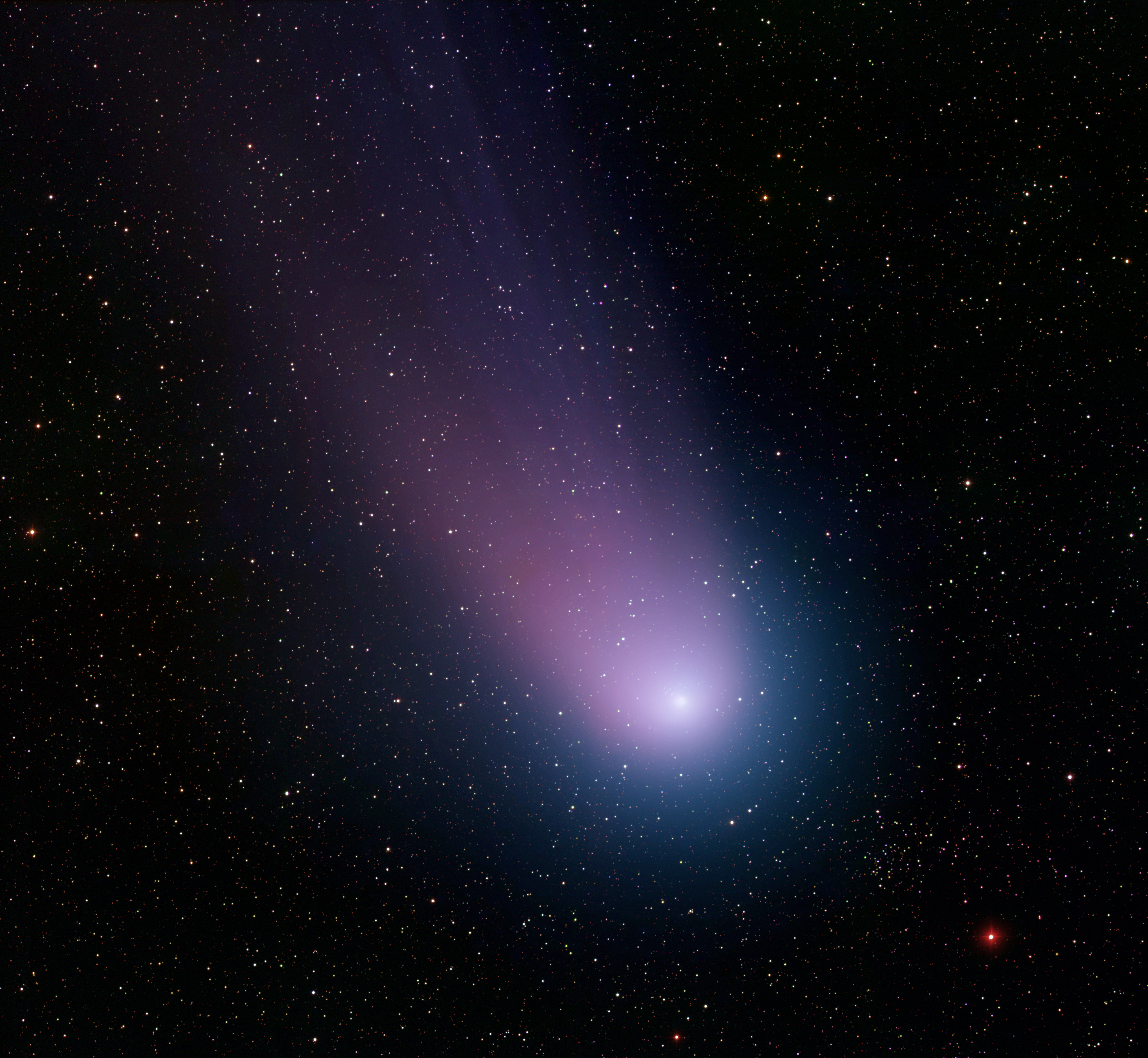 An image of Comet NEAT, captured by Kitt Peak National Observatory