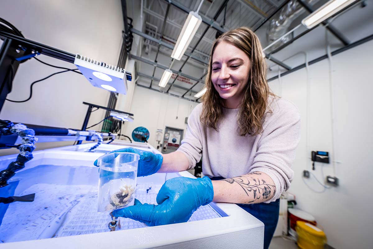 Maddison Harman, a marine biologist, shows a coral sample in APL’s NAMI facility.