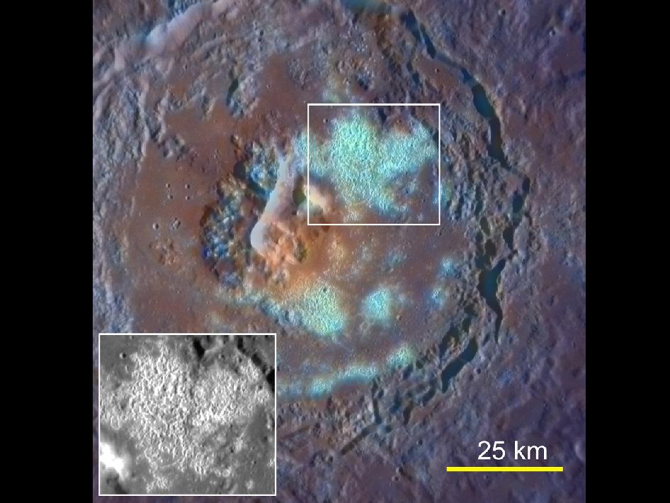 An Example of a Large Crater (Tyagaraja, 97 km in Diameter) with a Floor Partially Covered by Large Numbers of Coalesced Hollows