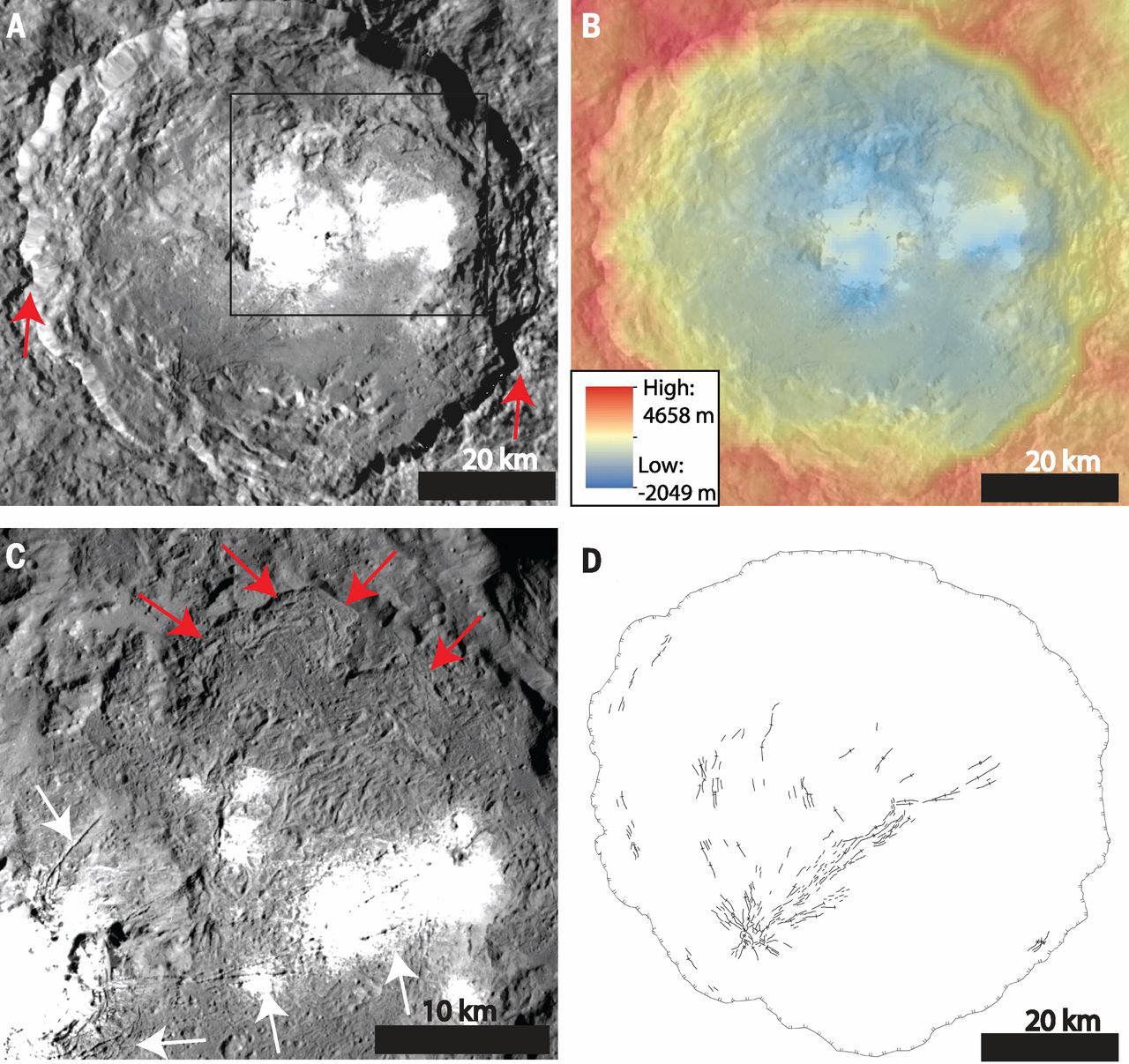 Ceres’ Occator crater