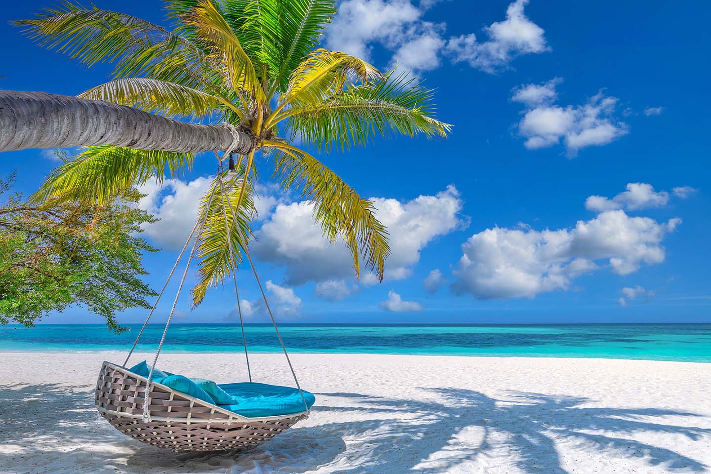 View of a tropical beach. A beach swing hangs in the shadow of a palm tree.