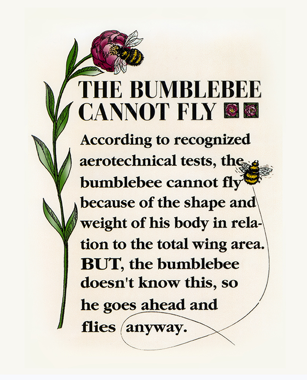 The Bumblebee Cannot Fly - According to recognized aerotechnical tests, the bumblebee cannot fly because of the shape and weight of his body in relation to the total wing area. But, the bumblebee doesn't know this, so he goes ahead and flies anyway.