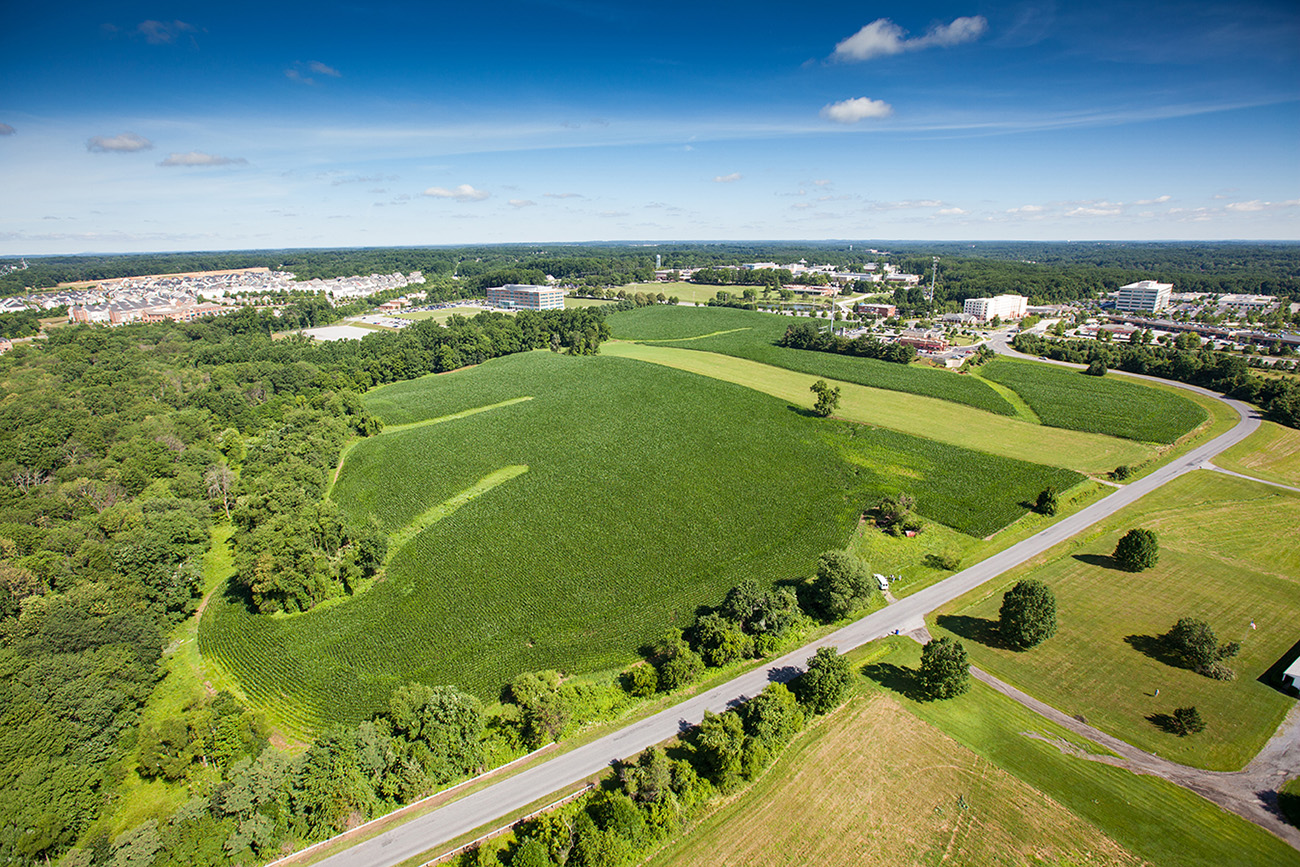 Tract of farmland purchased by APL (2015)