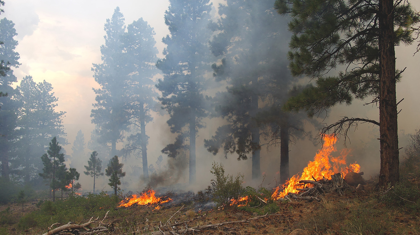 In the last several years, record-setting wildfires have released millions of smoke-borne contaminants into the air, setting off air quality alerts across the country. APL is using artificial intelligence (AI) to accelerate air quality forecasts and ultimately deliver a better understanding of how and where these pollutants will travel.