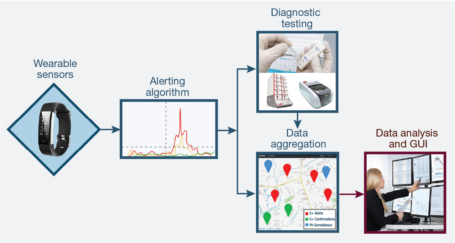 HSN data flow