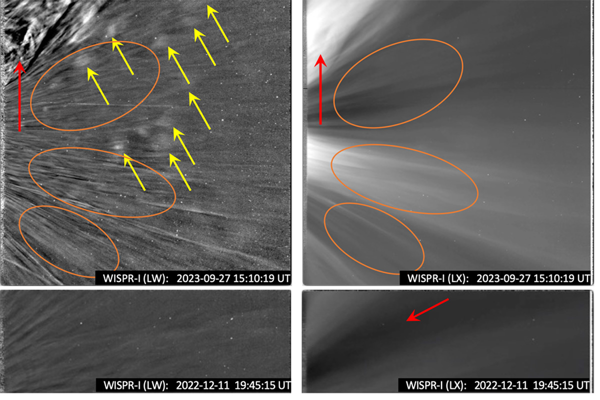 Revealing an Overlooked Part of the Solar Corona in Parker Solar Probe Images