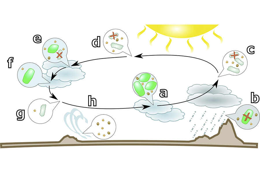 Atmospheres as Habitats