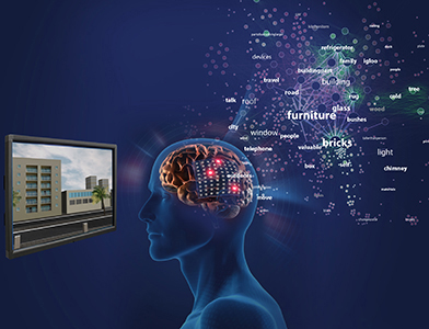 Illustration of a person processing concepts in the brain