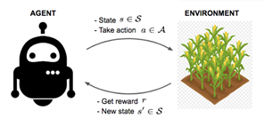 A reinforcement learning agent's view of improving crop growth.