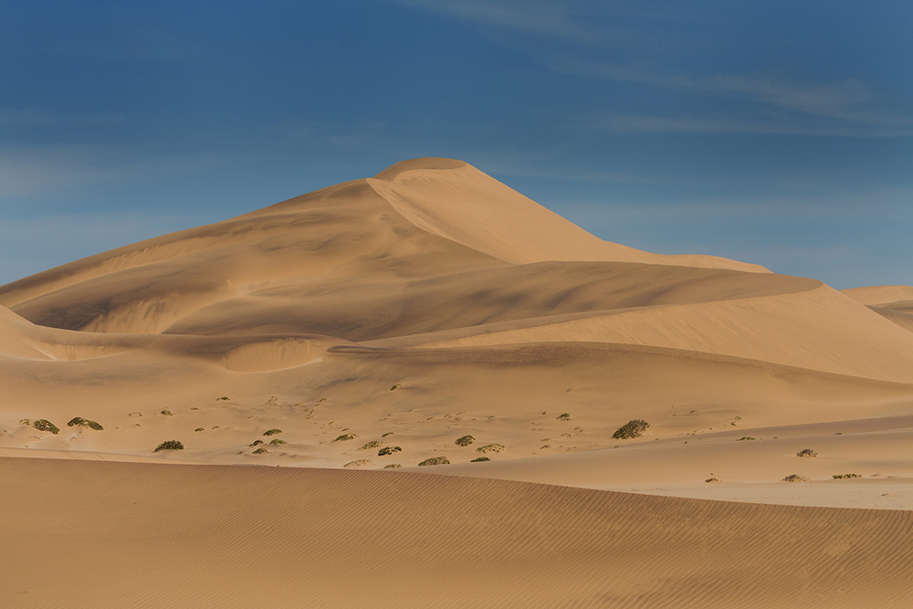 Sand dunes (Credit: Bigstock)