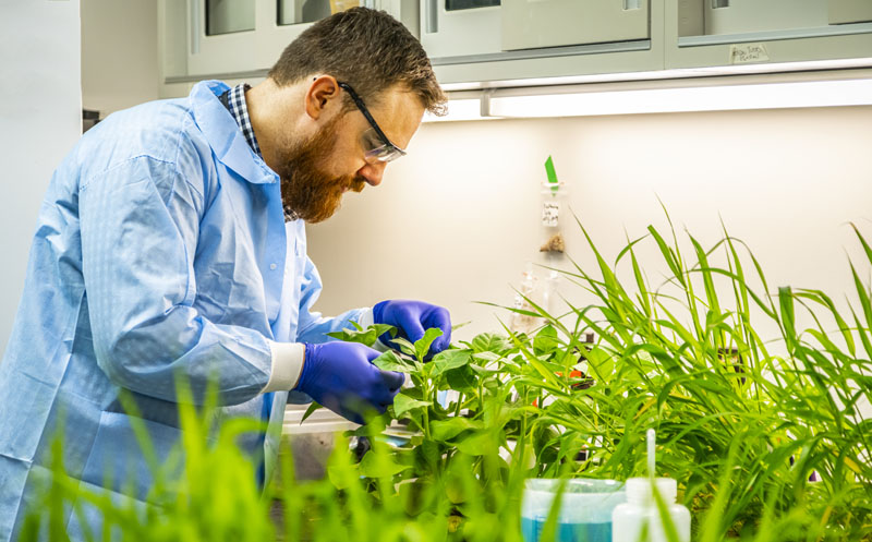 Plant Growth Laboratory