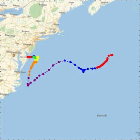 Map of prototype location readings over a six-week period